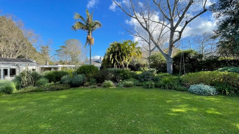 The Aussie Backyard Makeover Guide (Under $5k)