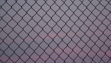 How to Clean Colorbond Fencing and Roofing (the BlueScope Way)