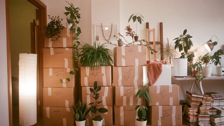 The Aussie Moving-House Survival Guide