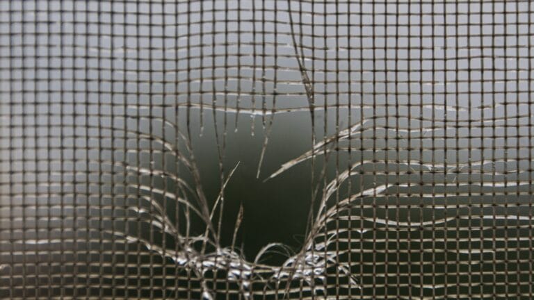 How to Replace a Damaged Fly Screen Without Buying a New Frame