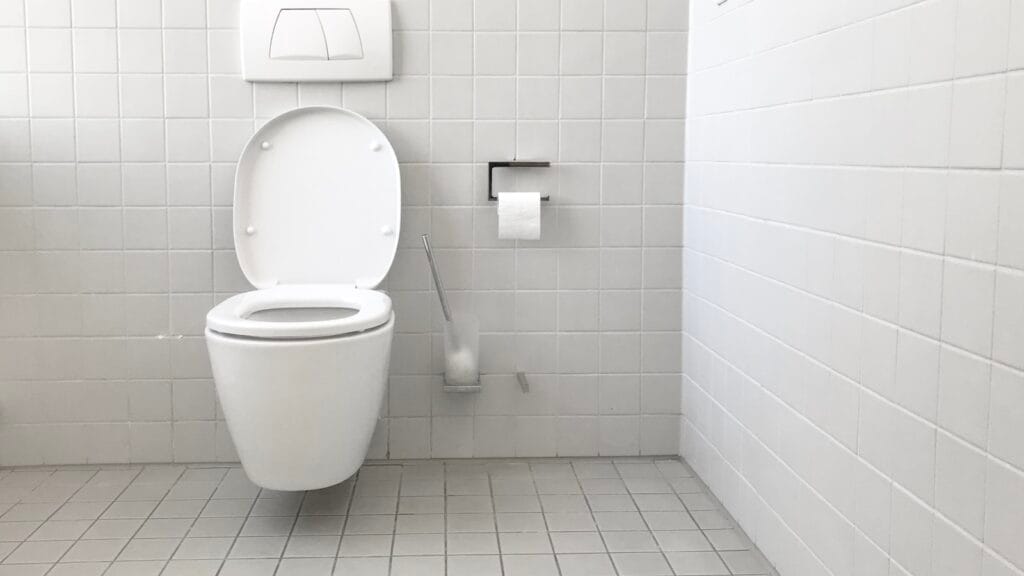 How to Replace a Toilet Seat